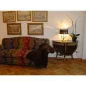 Showroom perdele / tapet 27