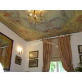 Showroom perdele / tapet 32