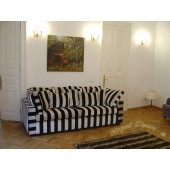 Showroom perdele / tapet 36