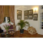 Showroom perdele / tapet 45